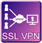 SSL VPN